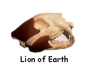 Lion Skull