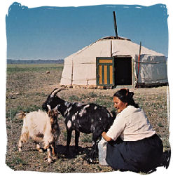 Yurt in the Gobi