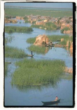 Marshlands of Iraq