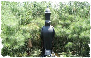 Papyrus on the Nile