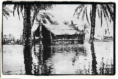 Reed Huts by Gertrude Bell