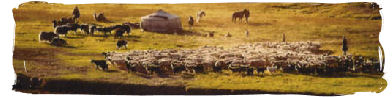 Yurt on the Plains