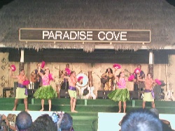 Hawaiian Dancers