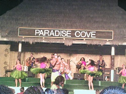 Hawaiian Dancers