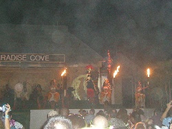 Hawaiian Dancers