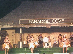 Hawaiian Dancers