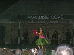 Hawaiian Dancers