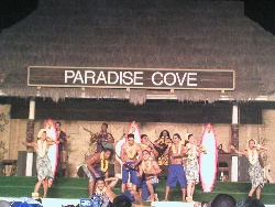 Hawaiian Dancers