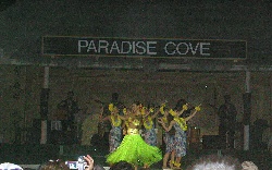 Hawaiian Dancers