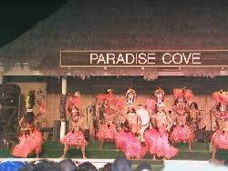 Hawaiian Dancers