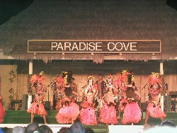 Hawaiian Dancers