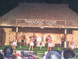 Hawaiian Dancers