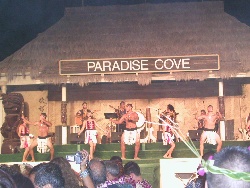 Hawaiian Dancers