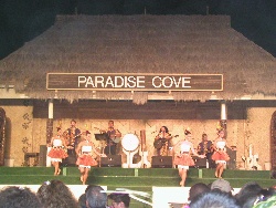 Hawaiian Dancers