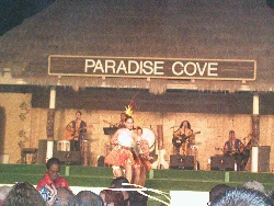 Hawaiian Dancers