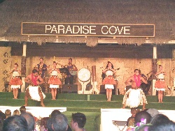 Hawaiian Dancers