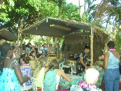 Making Leis