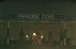 Samoan Fire Dancer
