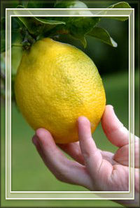 Lemon