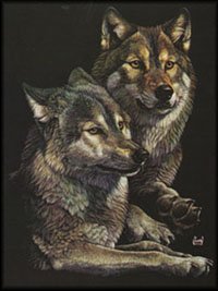 Wolf Mates