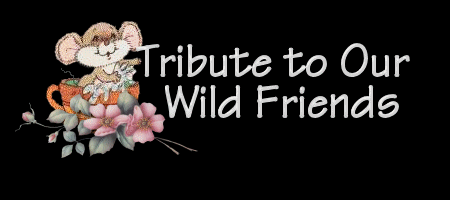 Tribute to Our Wild Friends